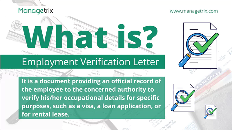 What is an Employment Verification Letter