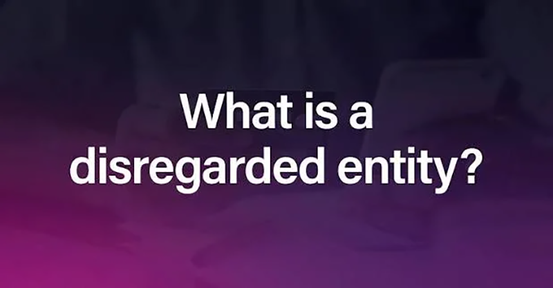 What is a Disregarded Entity