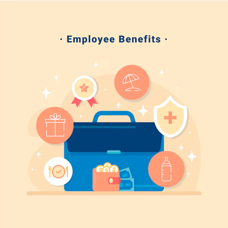 Steps of the healthcare benefits administration process