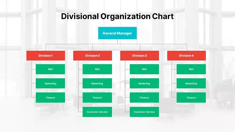 Divisional Organization Design 