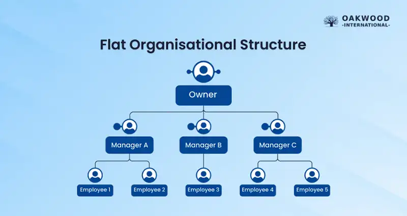 Flat Organisational Design 