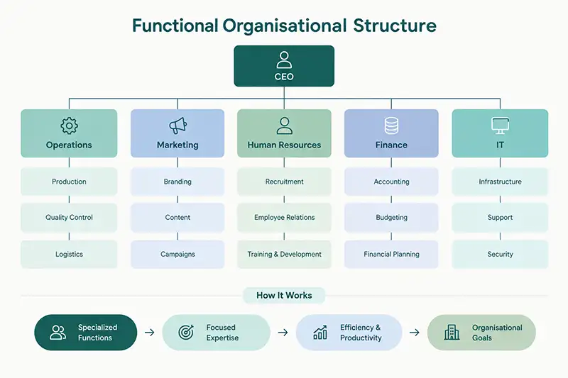 Functional Organizational Design