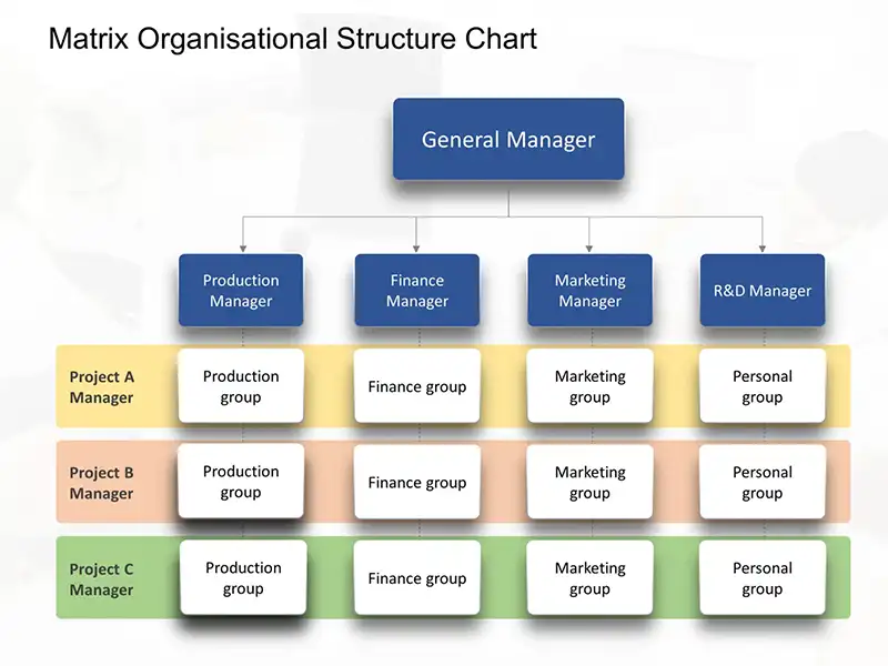 Matrix Organizational Design Structure